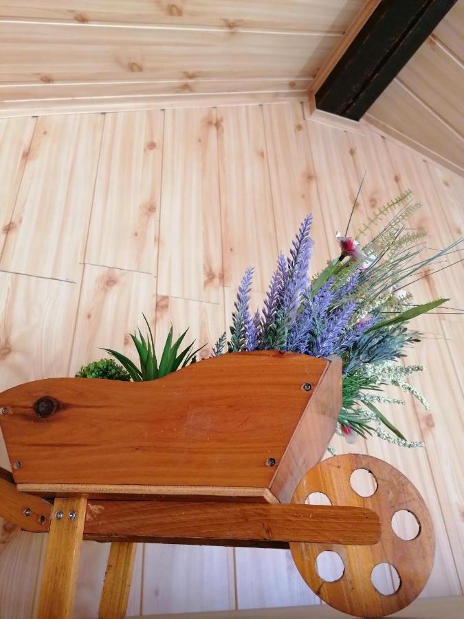 Cozy Attic Studio Брашов Екстер'єр фото