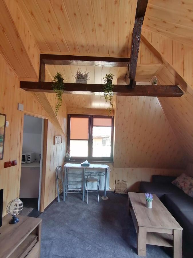 Cozy Attic Studio Брашов Екстер'єр фото