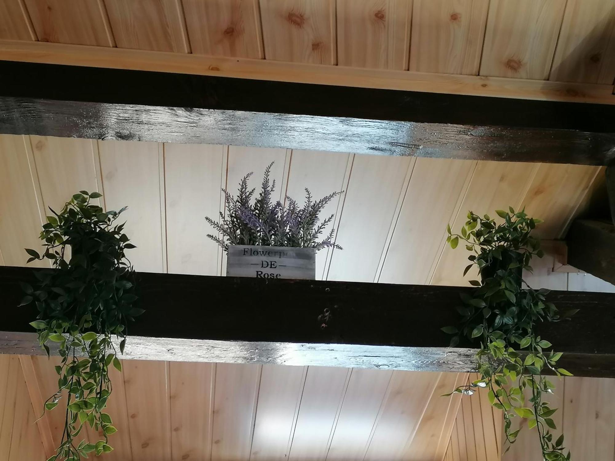 Cozy Attic Studio Брашов Екстер'єр фото