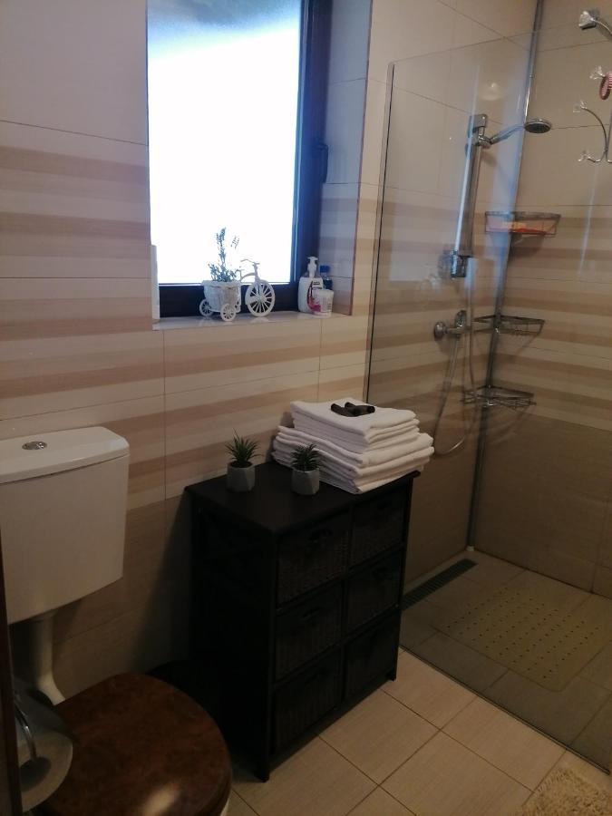 Cozy Attic Studio Брашов Екстер'єр фото
