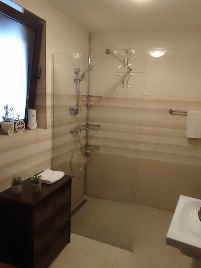 Cozy Attic Studio Брашов Екстер'єр фото